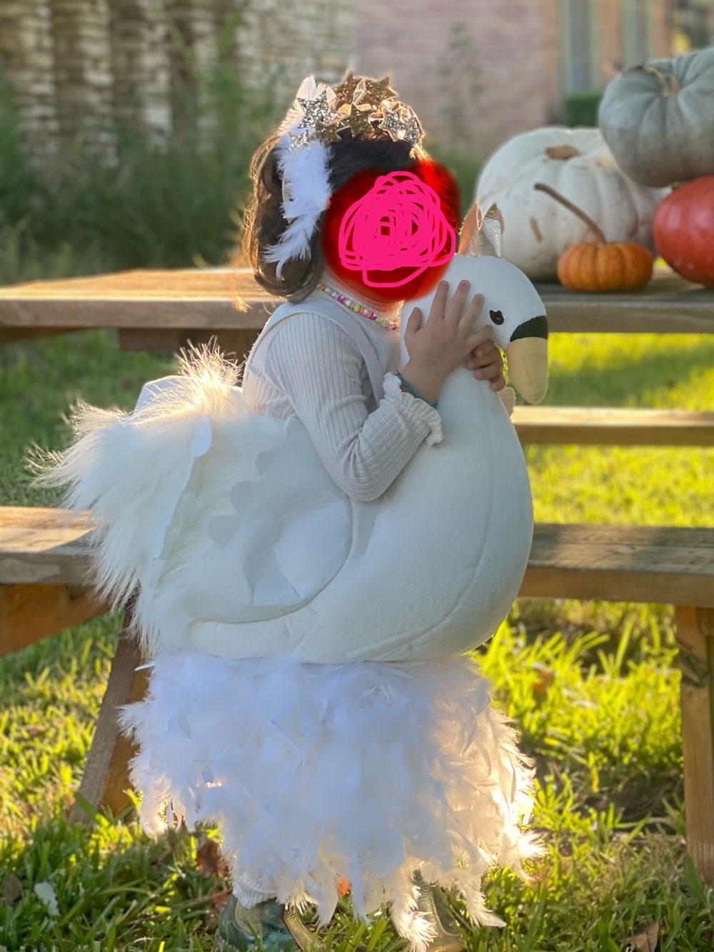 Pottery Barn Kids White Swan Costume